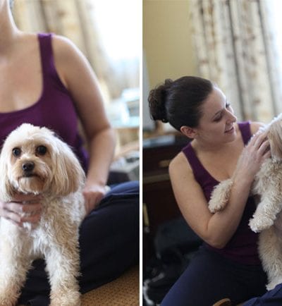 Puppy Love – Ami from Elizabeth Anne Design’s Charlie thumbnail