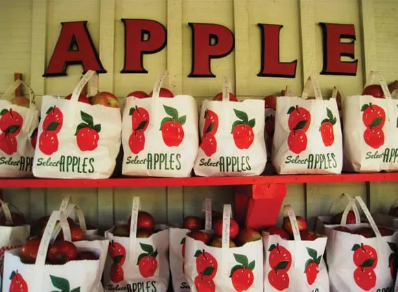 SweetestOccasion_3 SweetestOccasion_3