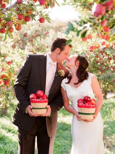 An Apple Orchard Wedding thumbnail
