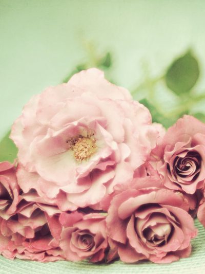 Event Inspiration – Dreamy Photography by Shana Rae thumbnail