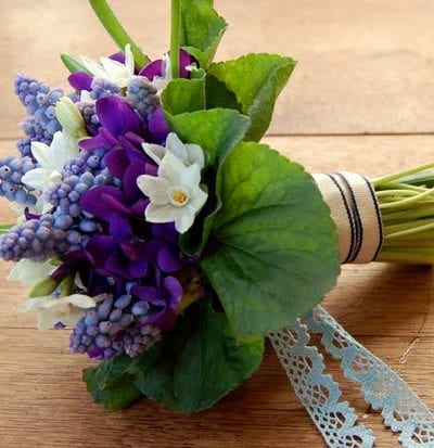 Pretty Winter Flowers thumbnail