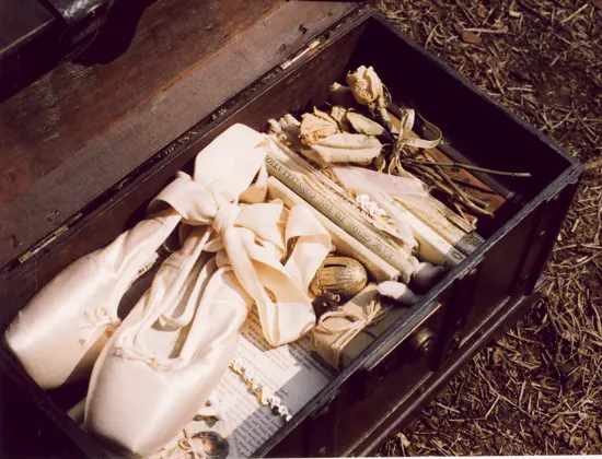 ballet-pointe-shoes-time-capsule-unicorn-diaries ballet-pointe-shoes-time-capsule-unicorn-diaries