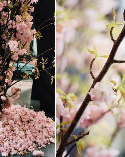 Beautiful Wedding Flowers from Celebrate Flowers thumbnail