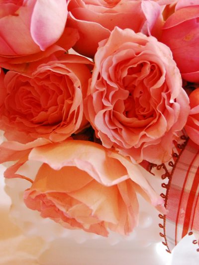 Wedding and Party Ideas from Chelsea Fuss thumbnail