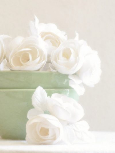 Friday Link Love thumbnail