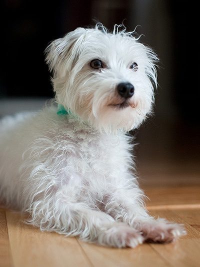 Inspired Tablescape – Part III thumbnail