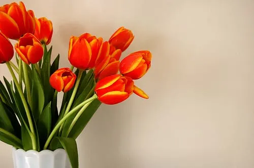 orange-tulips-bouquet-milk-glass-vase