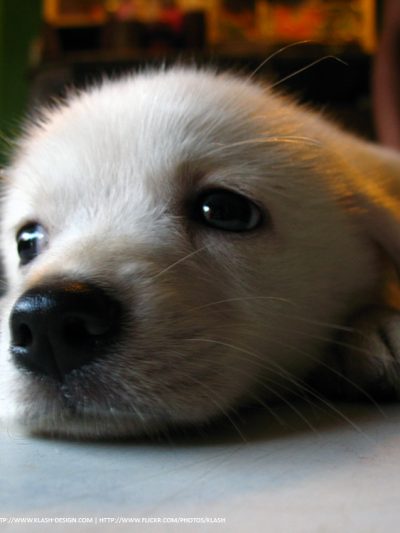 Friday Link Love thumbnail