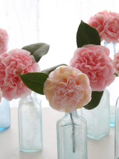 Romantic Pink Blooms thumbnail