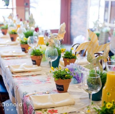 Baby Shower Garden Party thumbnail