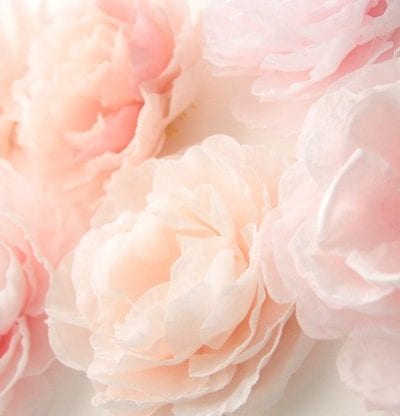 Peach Color Palette Inspiration thumbnail