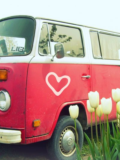 Friday Link Love thumbnail