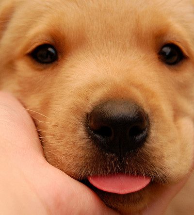 Weekend Link Love thumbnail