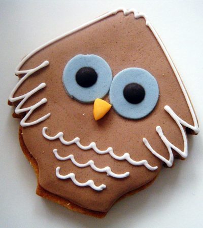 Noa’s Owl Themed First Birthday Party thumbnail