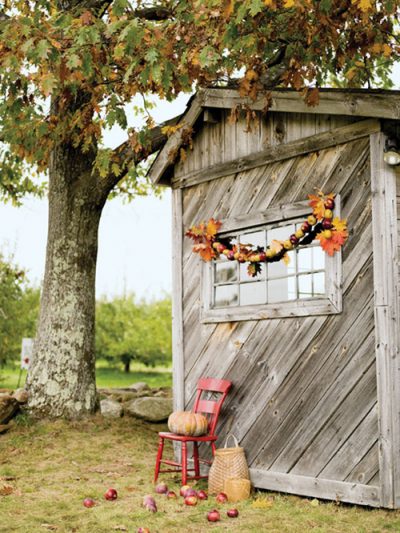 Friday Link Love thumbnail