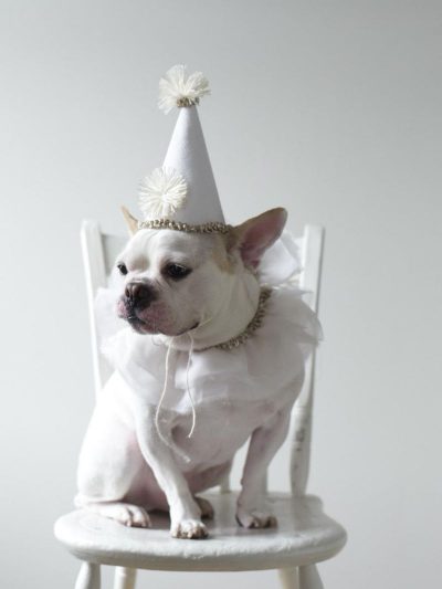 Friday Link Love thumbnail