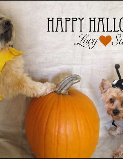 Happy Halloween! thumbnail