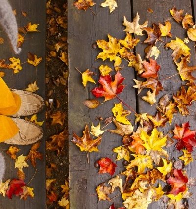 Friday Link Love thumbnail