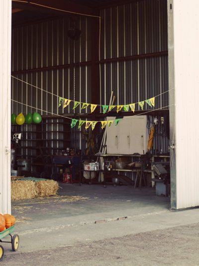 A Tractor Birthday Party thumbnail