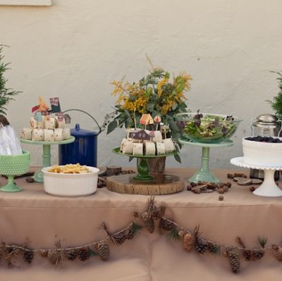 Party Shopping: Rustic Campsite Fun thumbnail