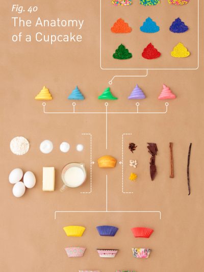 The Anatomy of a Cupcake thumbnail
