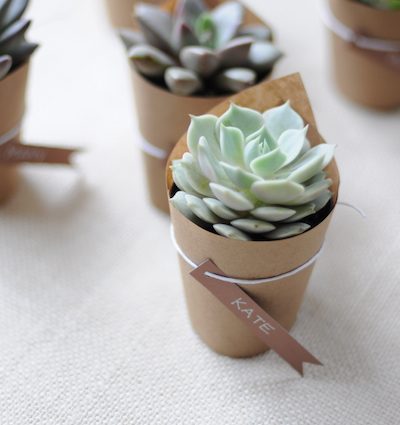 Succulent Escort Cards thumbnail