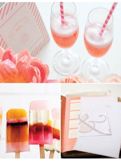 Party Palette: Summer Coral + Granite thumbnail