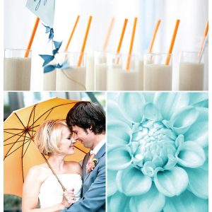 Party Palette: Orange Zest + Ocean thumbnail