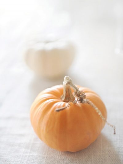 Super Chic Halloween Inspiration thumbnail