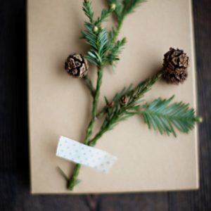 Gift Wrapping: Kraft, Pine + Twine thumbnail