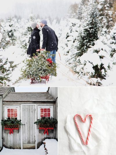 Party Palette: Wintery Christmas thumbnail