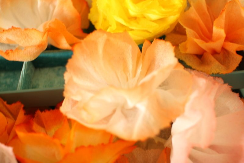 Diy paper towel flowers closeup the sweetest occasion the sweetest
