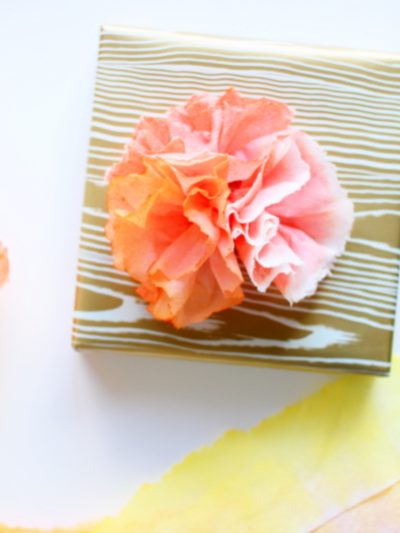 DIY Paper Towel Flowers thumbnail