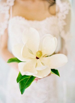 Loving Spring thumbnail