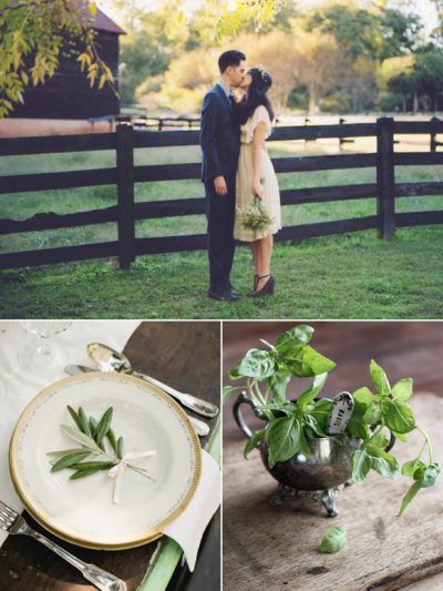 Party Palette: Basil + Clover thumbnail