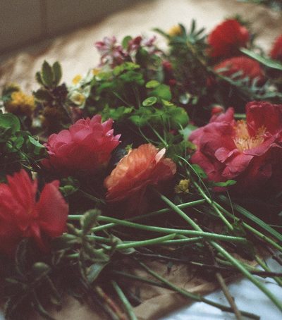 Friday Link Love thumbnail