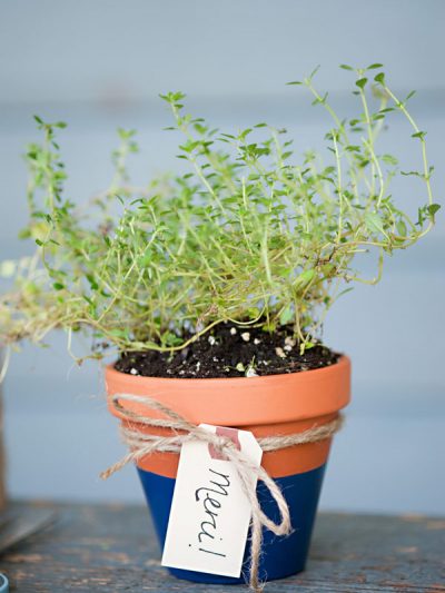DIY Potted Herb Favors thumbnail