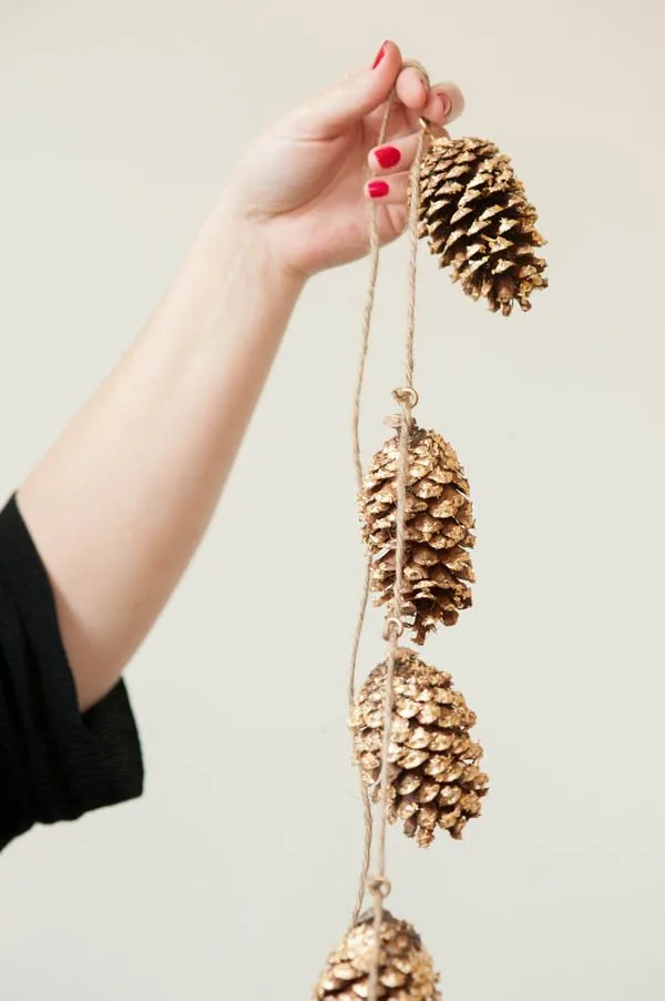 How to Make Pine Cones Pop :: Dry and Debug Pine Cones - An Extraordinary  Day