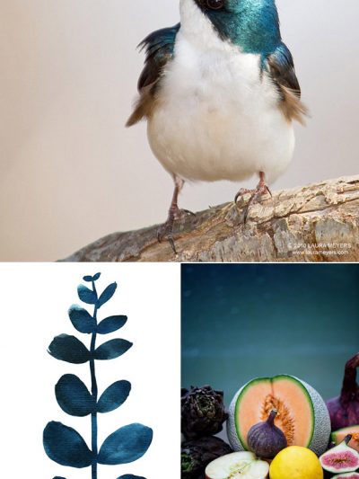 Party Palette: Lagoon + Sapphire thumbnail