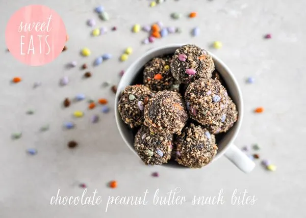Chocolate Peanut Butter Snack Bites Chocolate Peanut Butter Snack Bites