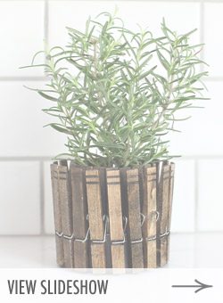 10 Favorite Spring Garden Crafts