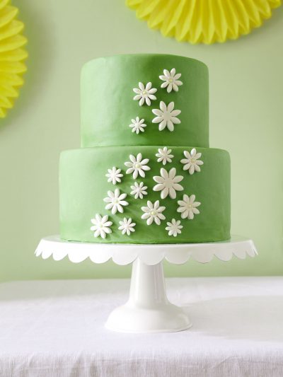 A Daisy Spring Bridal Shower thumbnail