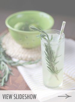 10 Favorite Cocktail Recipes