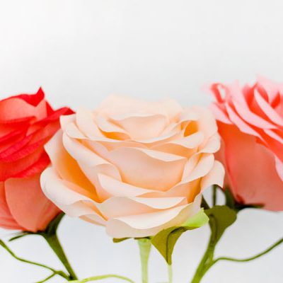 Loving Paper Flowers for Mom thumbnail