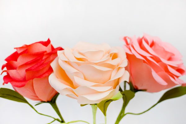 Giant Crepe Paper Flowers