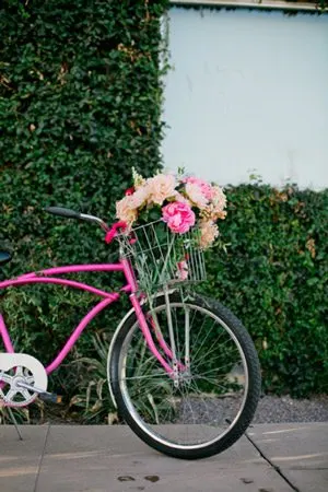 Gorgeous bicycle photo shoot