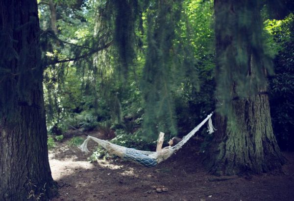 Hammock
