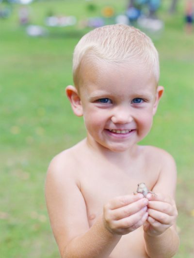 The Weekly Dozen vol. 5 thumbnail