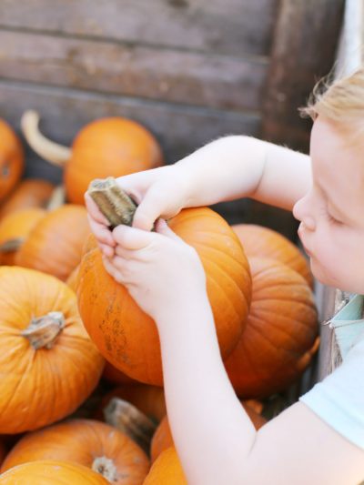 The Weekly Dozen vol. 6 thumbnail