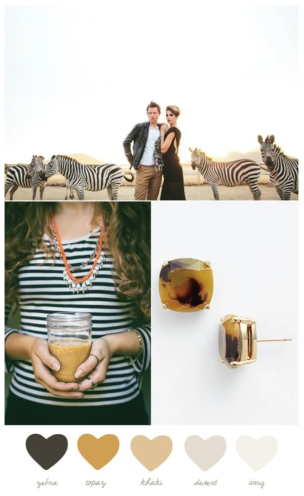 Topaz and Zebra Color Palette | The Sweetest Occasion